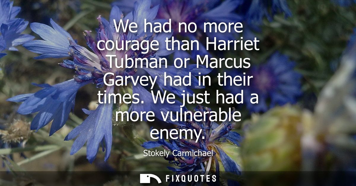 We had no more courage than Harriet Tubman or Marcus Garvey had in their times. We just had a more vulnerable enemy