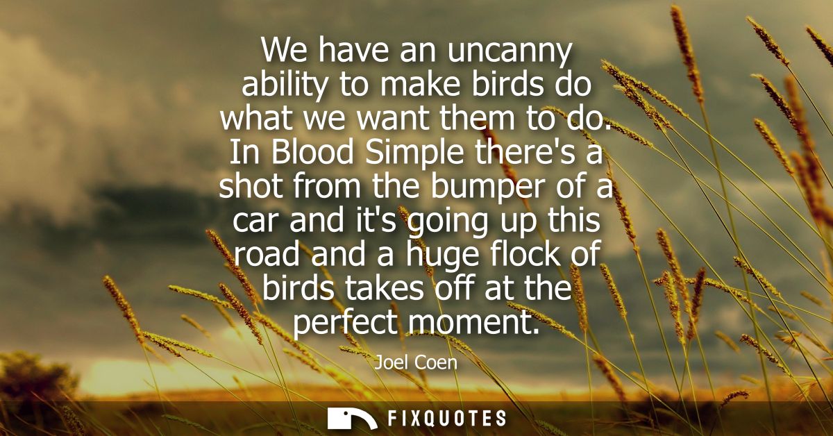 We have an uncanny ability to make birds do what we want them to do. In Blood Simple theres a shot from the bumper of a 