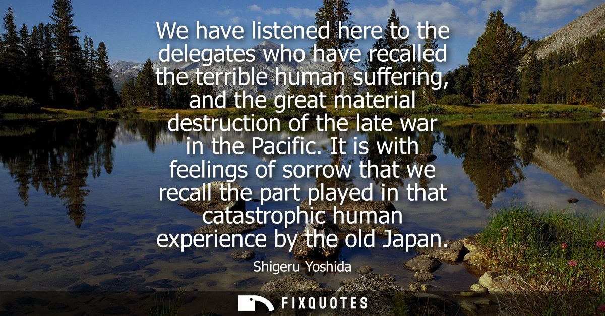 We have listened here to the delegates who have recalled the terrible human suffering, and the great material destructio