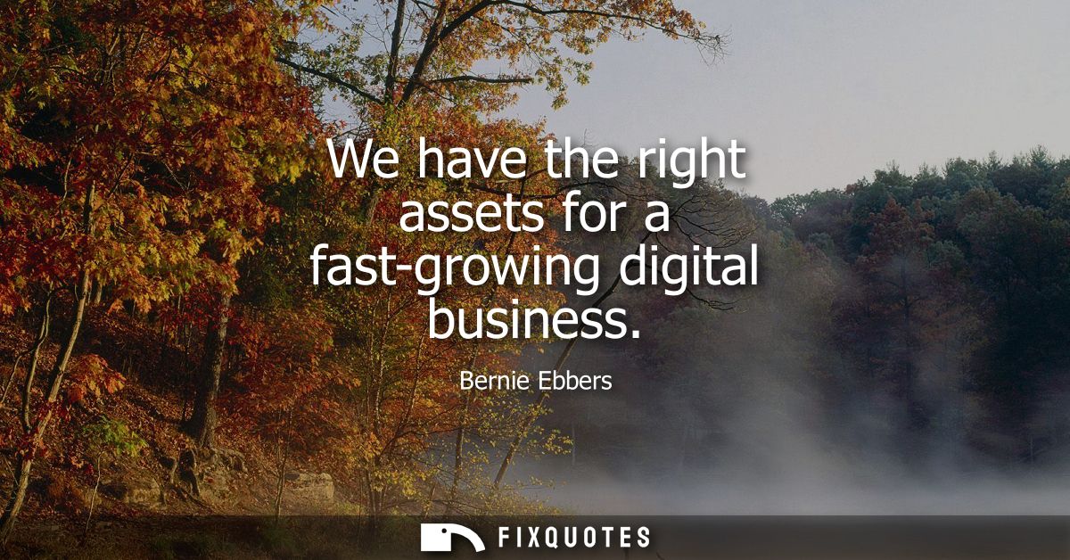 We have the right assets for a fast-growing digital business