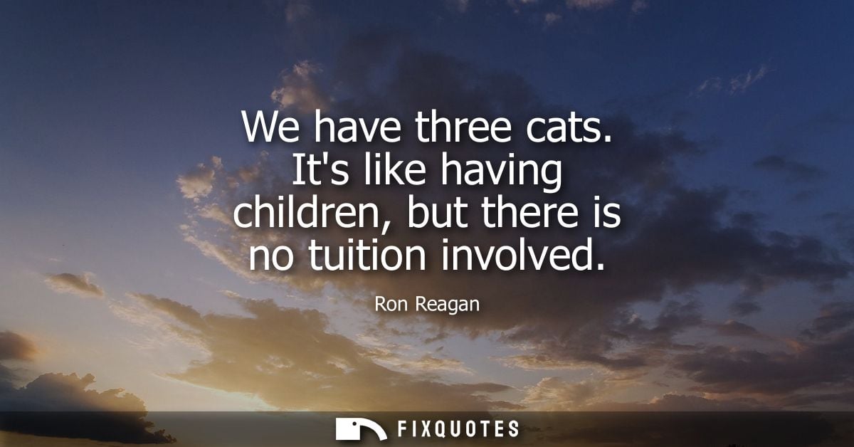 We have three cats. Its like having children, but there is no tuition involved