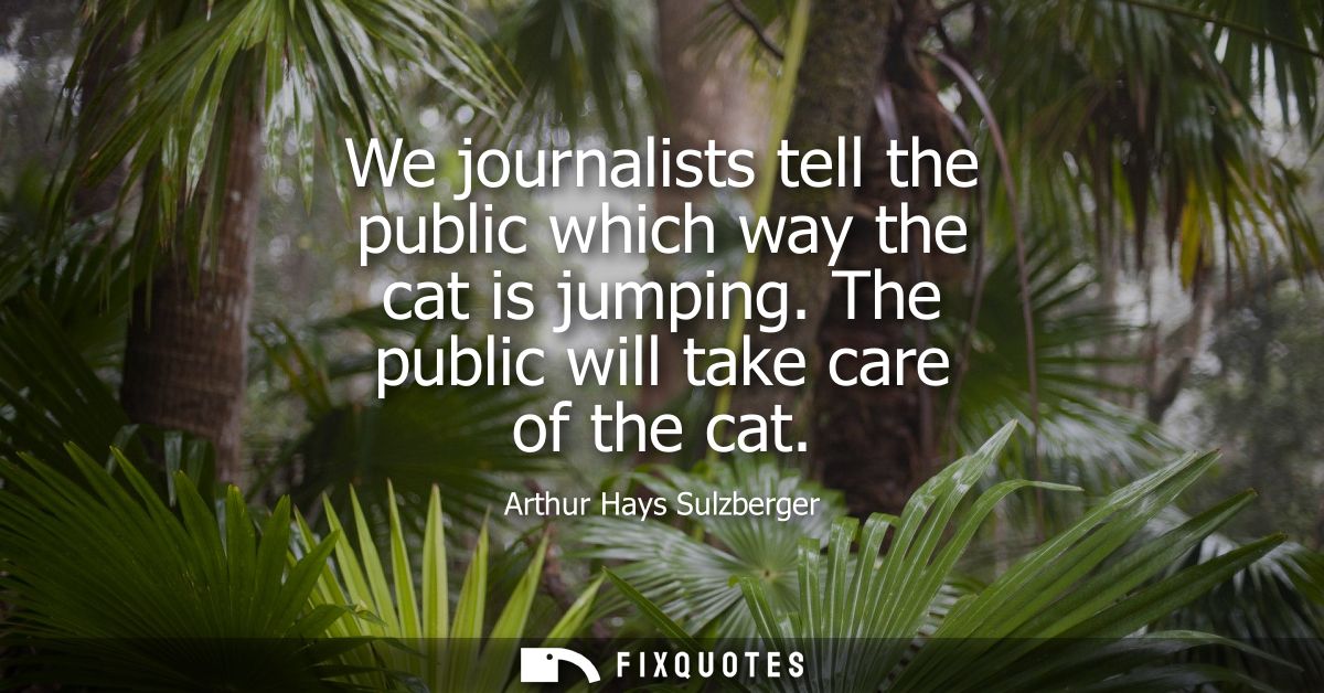 We journalists tell the public which way the cat is jumping. The public will take care of the cat