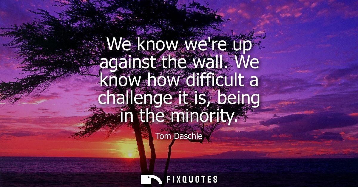 We know were up against the wall. We know how difficult a challenge it is, being in the minority