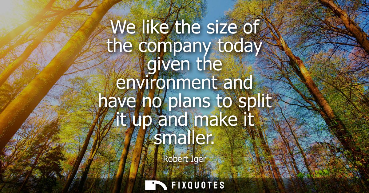 We like the size of the company today given the environment and have no plans to split it up and make it smaller