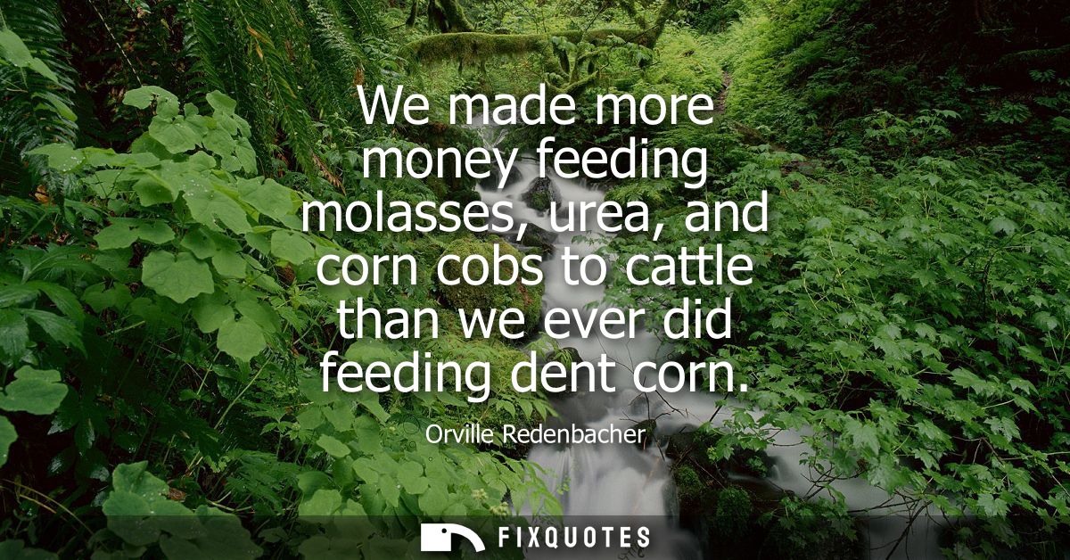 We made more money feeding molasses, urea, and corn cobs to cattle than we ever did feeding dent corn