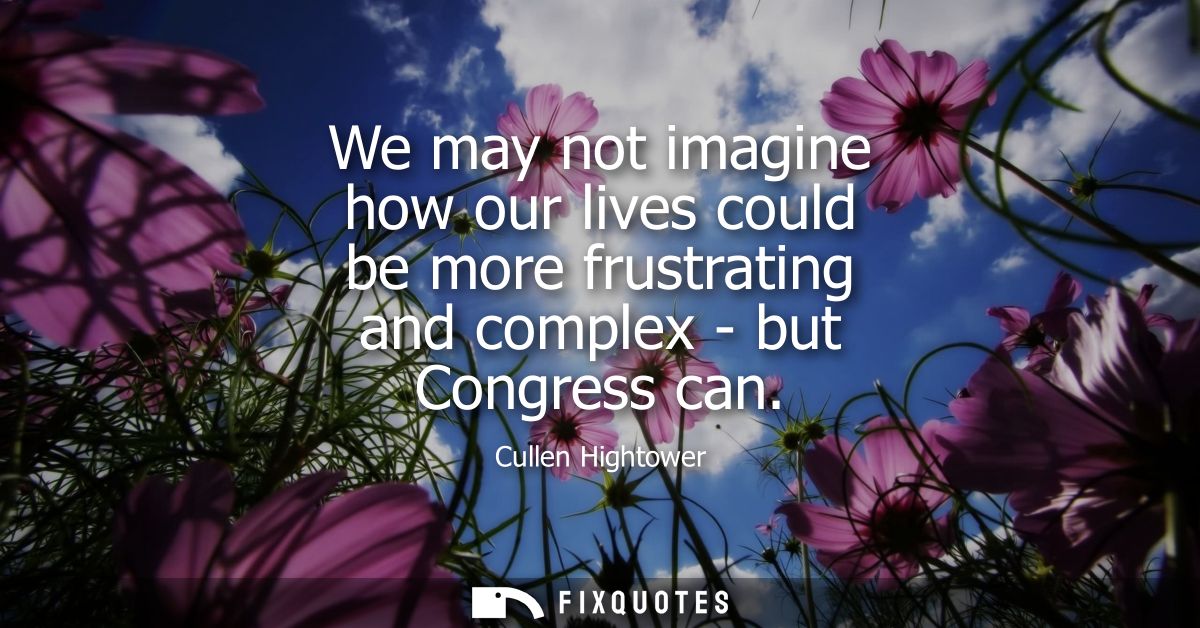 We may not imagine how our lives could be more frustrating and complex - but Congress can