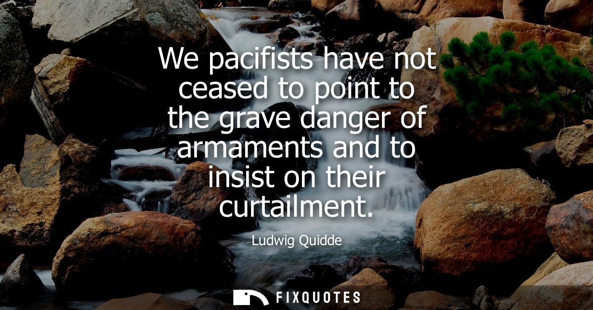 We pacifists have not ceased to point to the grave danger of armaments and to insist on their curtailment