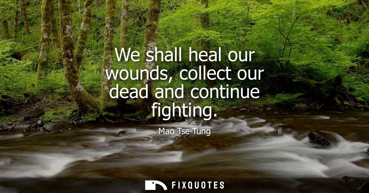 We shall heal our wounds, collect our dead and continue fighting