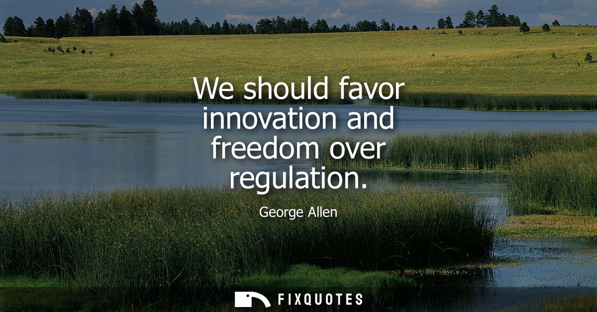 We should favor innovation and freedom over regulation
