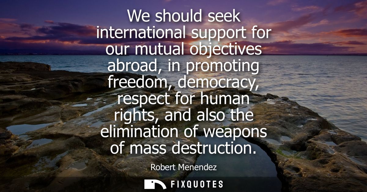 We should seek international support for our mutual objectives abroad, in promoting freedom, democracy, respect for huma