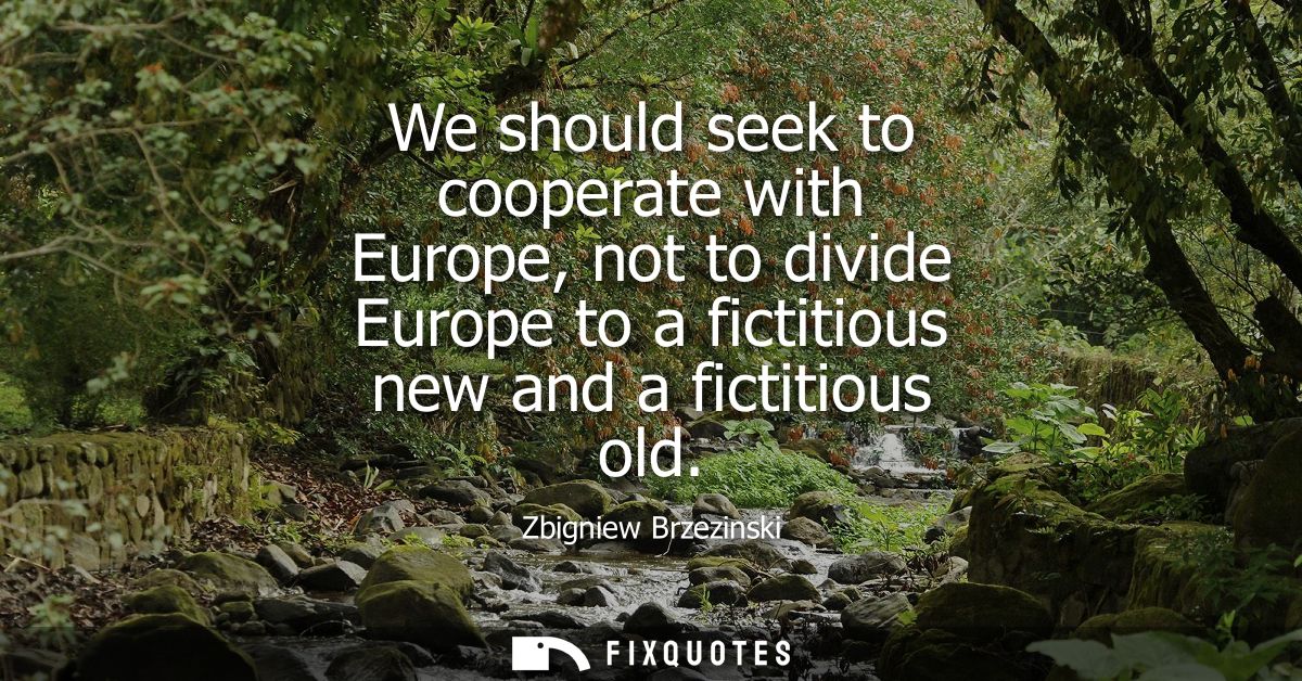 We should seek to cooperate with Europe, not to divide Europe to a fictitious new and a fictitious old