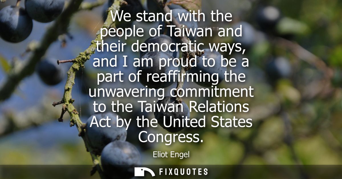 We stand with the people of Taiwan and their democratic ways, and I am proud to be a part of reaffirming the unwavering 
