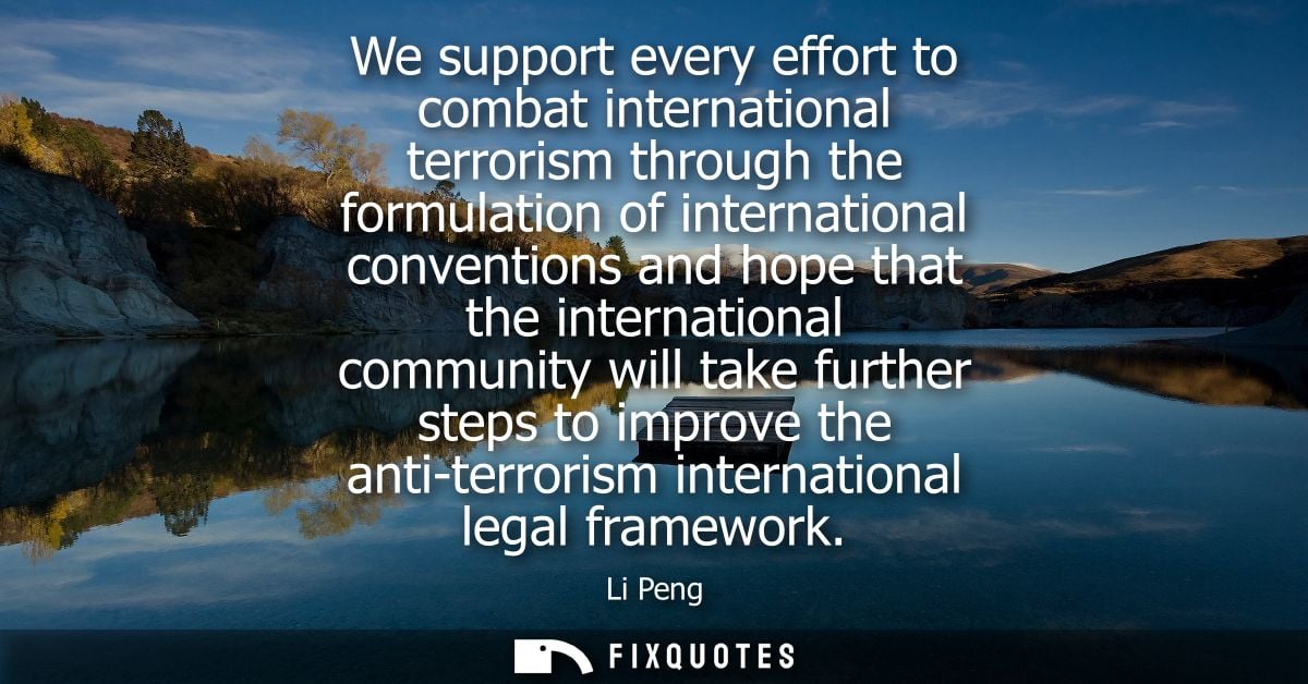We support every effort to combat international terrorism through the formulation of international conventions and hope 