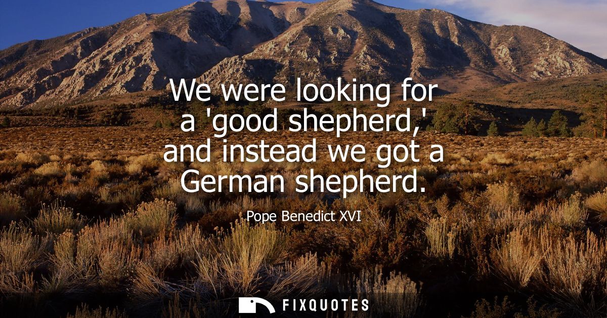 We were looking for a good shepherd, and instead we got a German shepherd