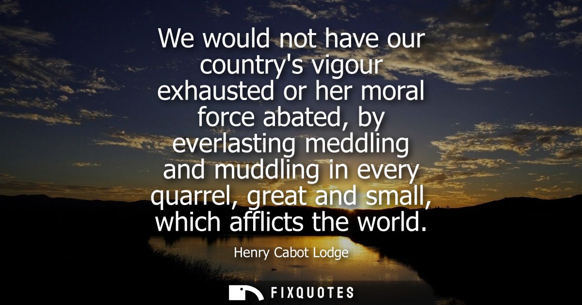 We would not have our countrys vigour exhausted or her moral force abated, by everlasting meddling and muddling in every