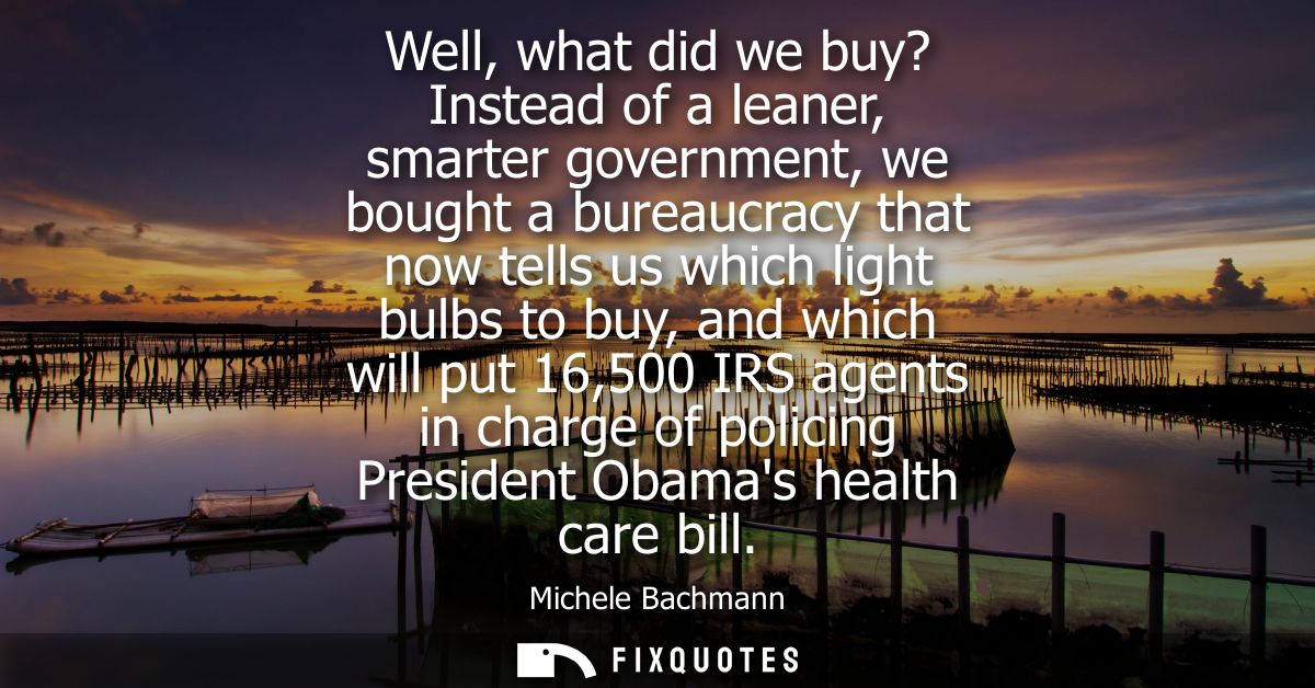 Well, what did we buy? Instead of a leaner, smarter government, we bought a bureaucracy that now tells us which light bu
