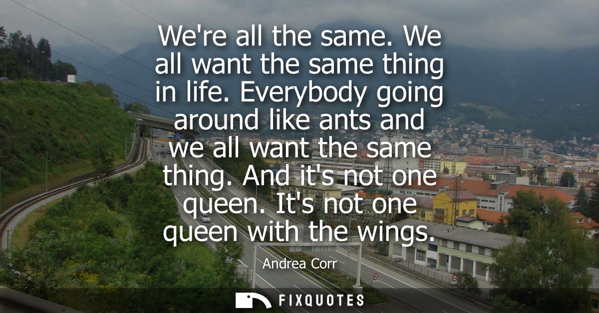 Were all the same. We all want the same thing in life. Everybody going around like ants and we all want the same thing. 