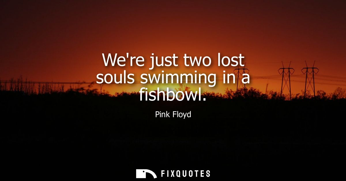 Were just two lost souls swimming in a fishbowl