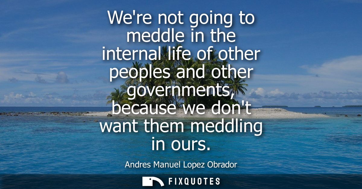 Were not going to meddle in the internal life of other peoples and other governments, because we dont want them meddling
