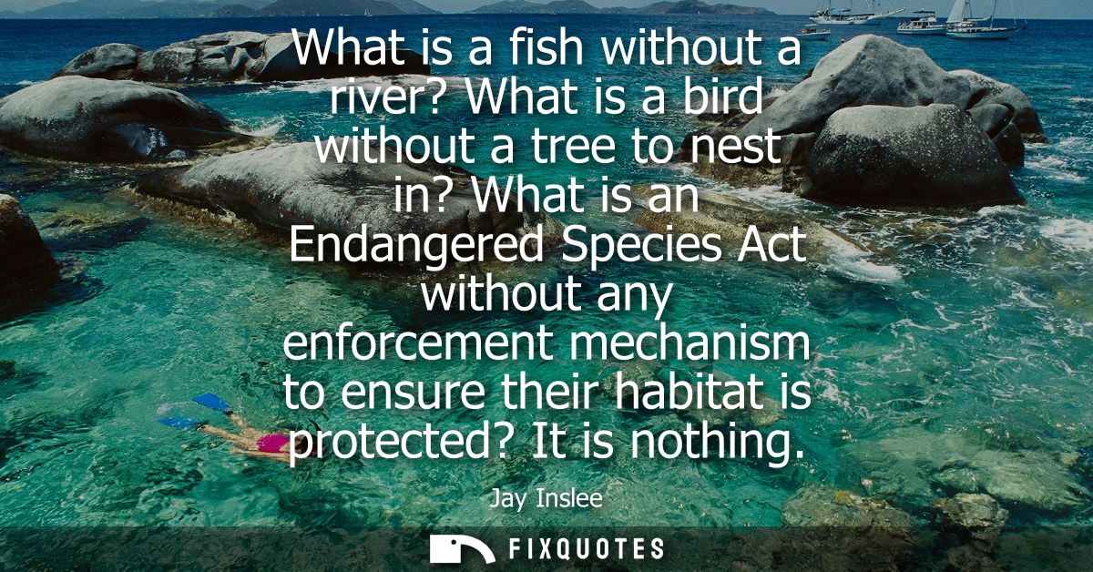 What is a fish without a river? What is a bird without a tree to nest in? What is an Endangered Species Act without any 