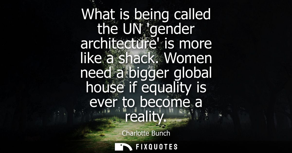 What is being called the UN gender architecture is more like a shack. Women need a bigger global house if equality is ev