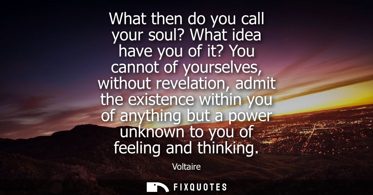 What then do you call your soul? What idea have you of it? You cannot of yourselves, without revelation, admit the exist