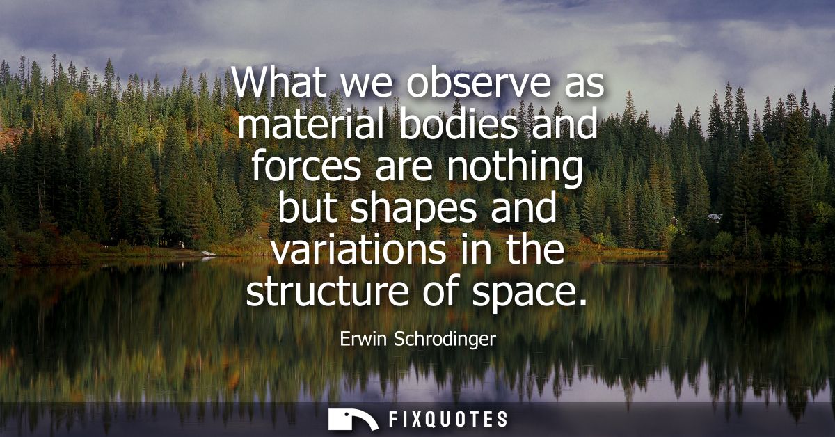 What we observe as material bodies and forces are nothing but shapes and variations in the structure of space