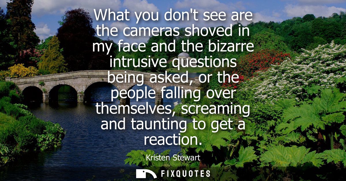 What you dont see are the cameras shoved in my face and the bizarre intrusive questions being asked, or the people falli