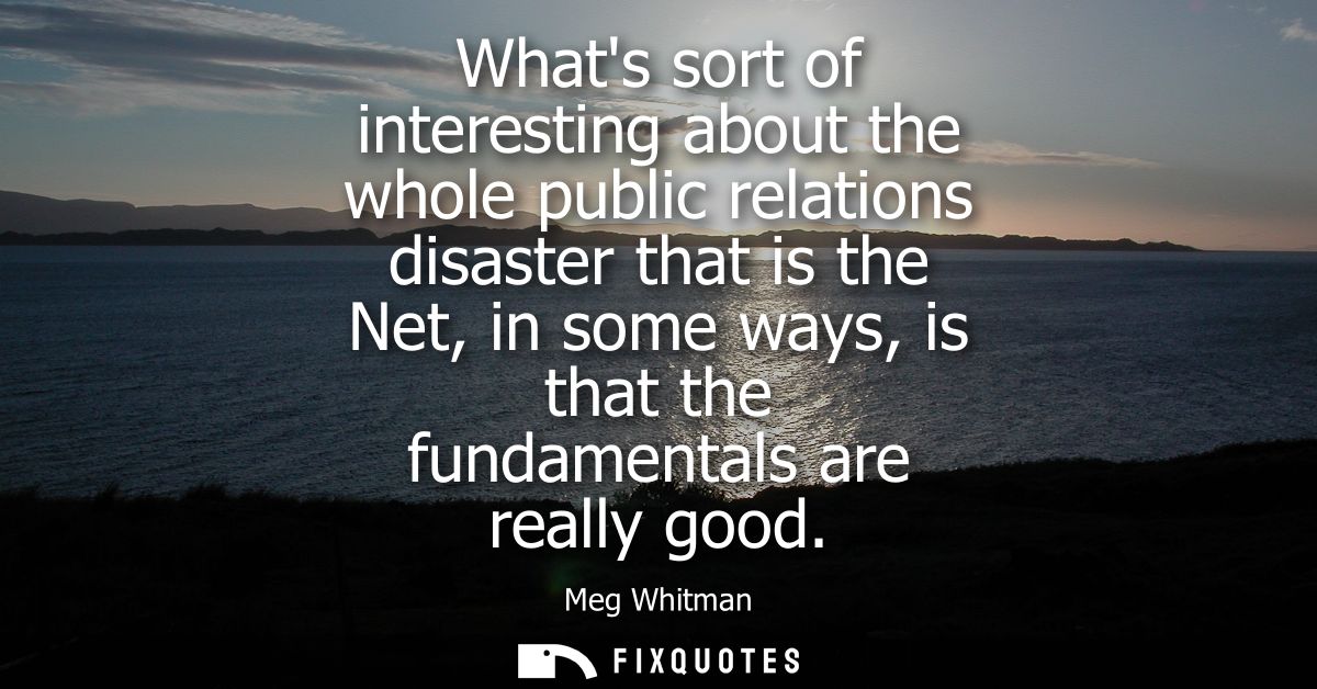 Whats sort of interesting about the whole public relations disaster that is the Net, in some ways, is that the fundament