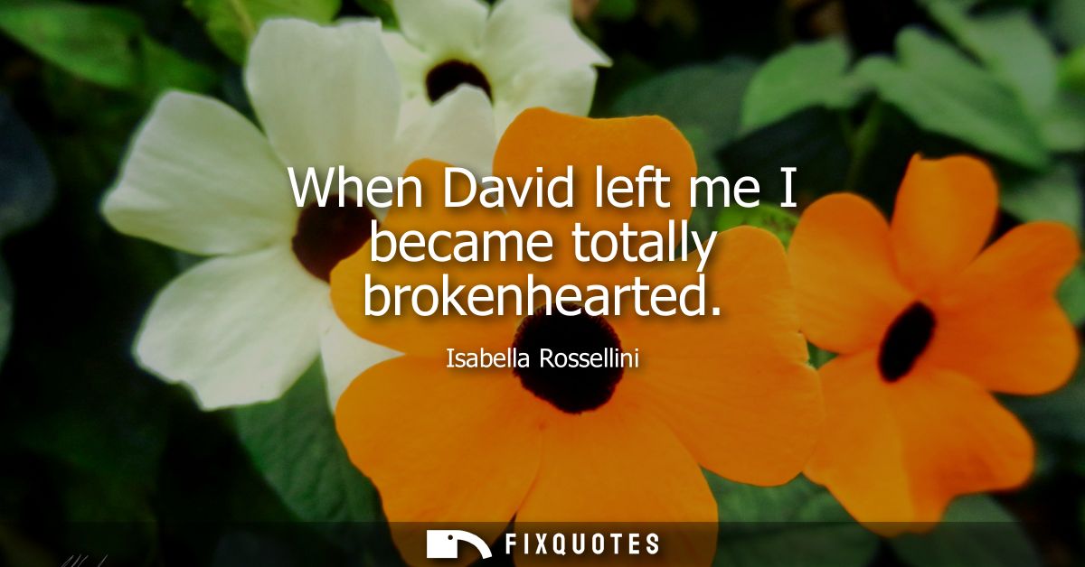 When David left me I became totally brokenhearted
