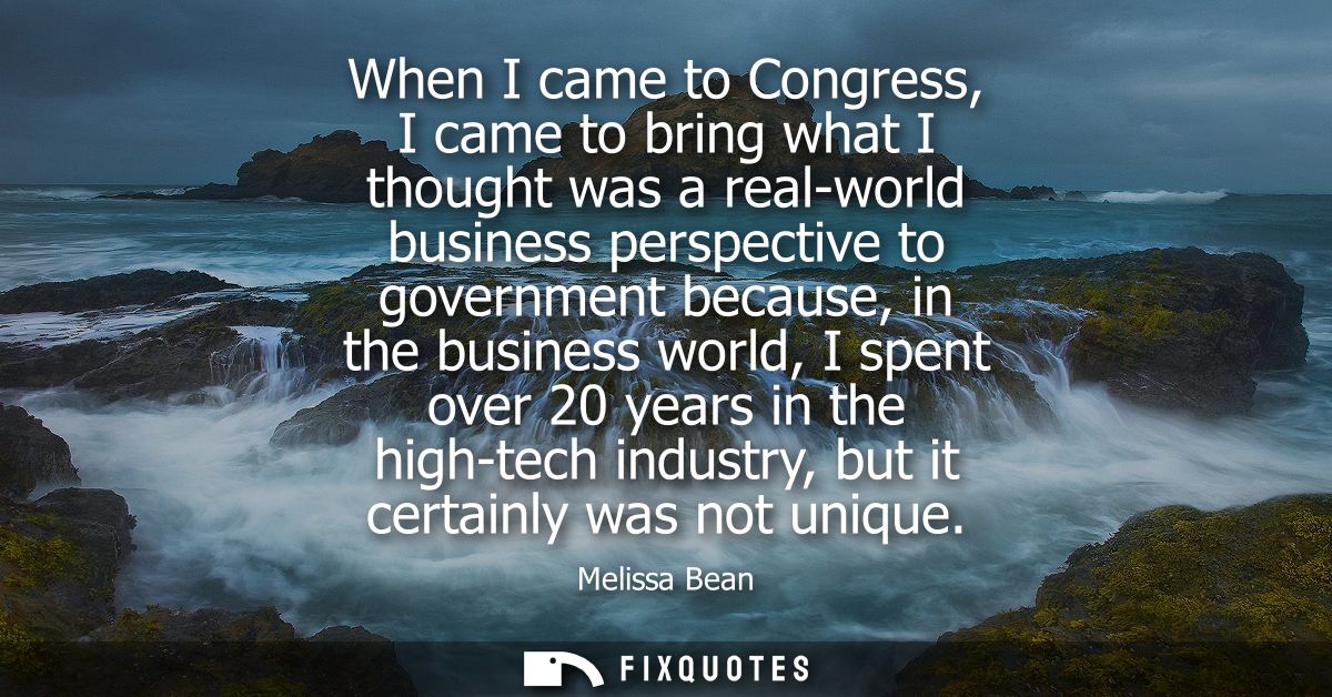 When I came to Congress, I came to bring what I thought was a real-world business perspective to government because, in 