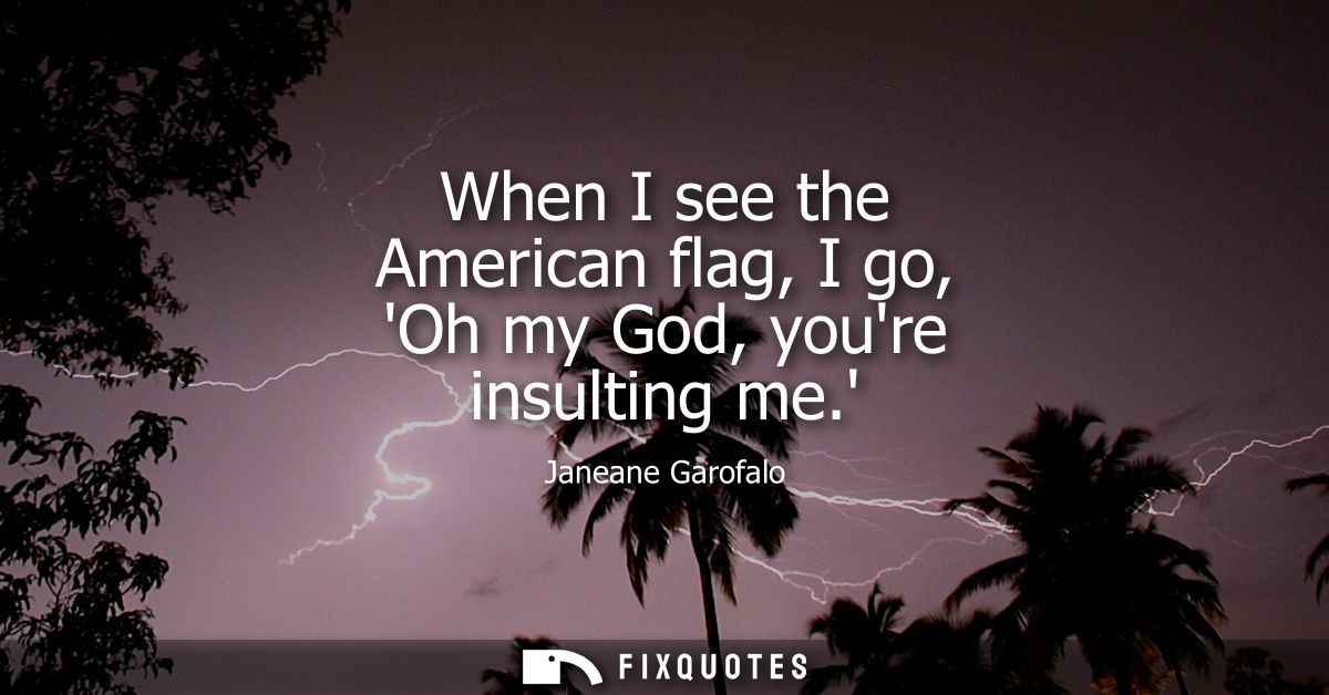 When I see the American flag, I go, Oh my God, youre insulting me.