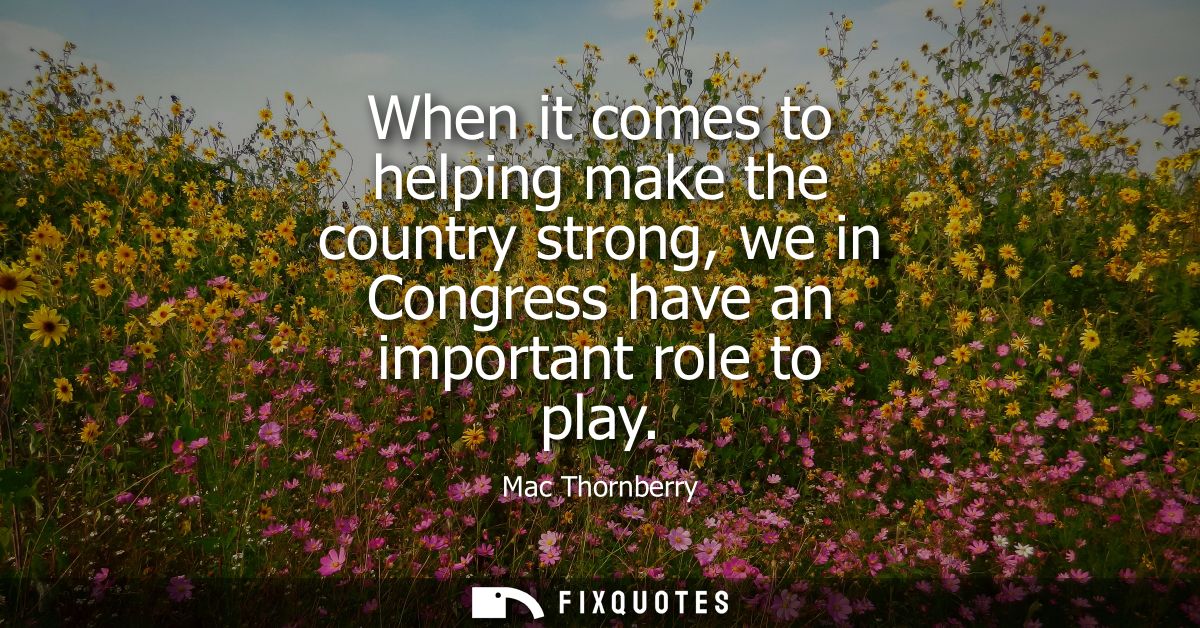 When it comes to helping make the country strong, we in Congress have an important role to play