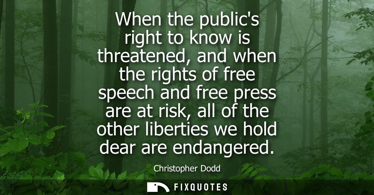 When the publics right to know is threatened, and when the rights of free speech and free press are at risk, all of the 