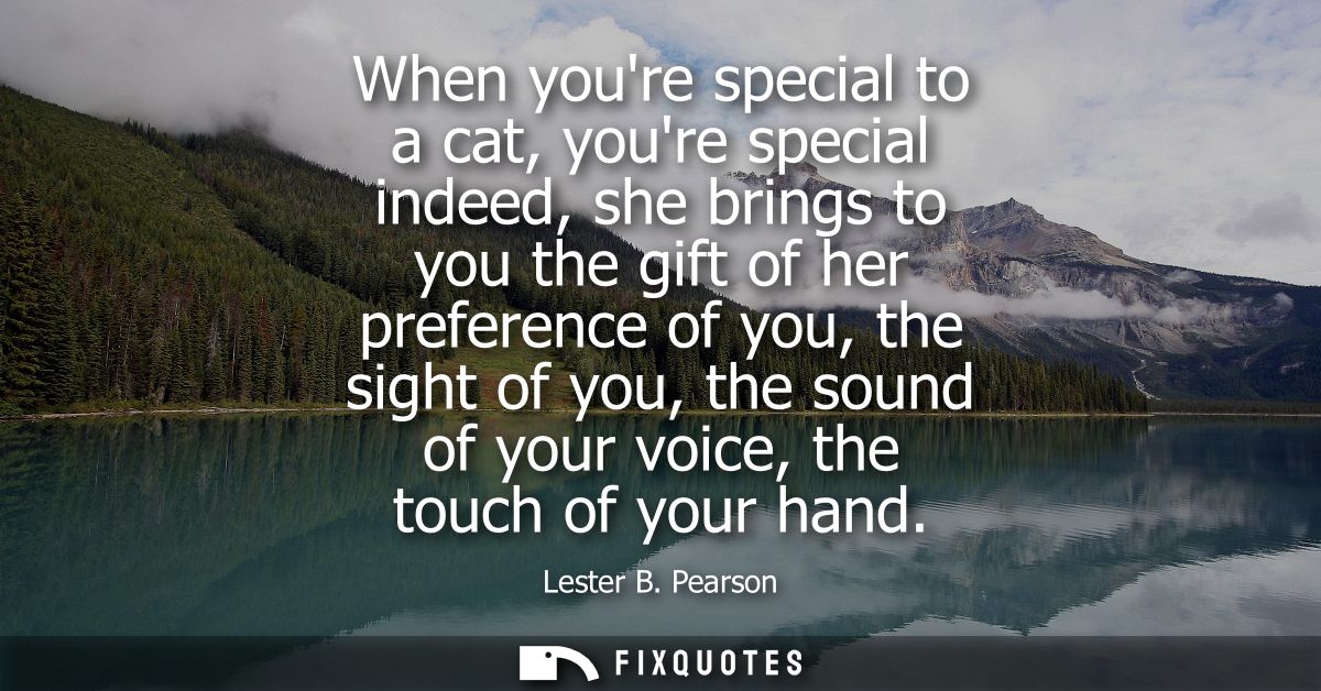 When youre special to a cat, youre special indeed, she brings to you the gift of her preference of you, the sight of you