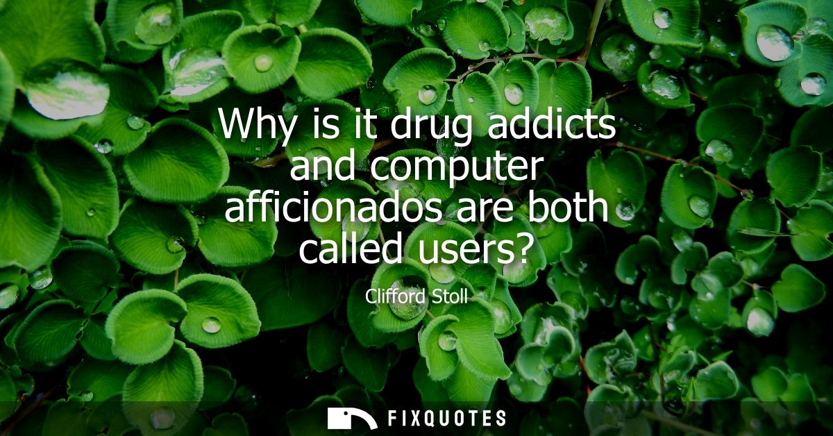 Why is it drug addicts and computer afficionados are both called users?