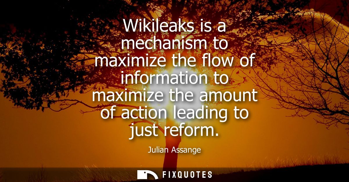 Wikileaks is a mechanism to maximize the flow of information to maximize the amount of action leading to just reform