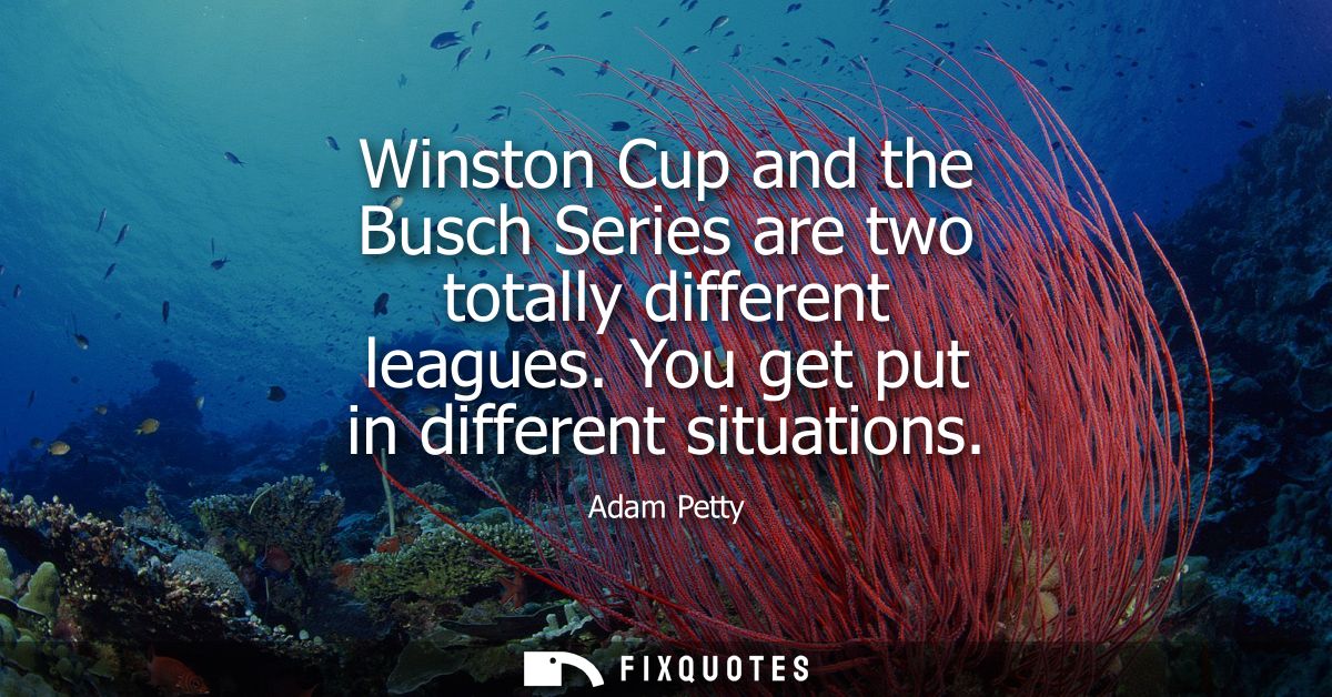 Winston Cup and the Busch Series are two totally different leagues. You get put in different situations