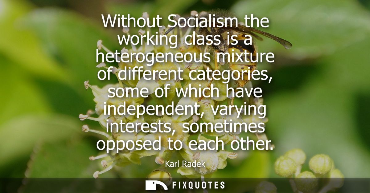 Without Socialism the working class is a heterogeneous mixture of different categories, some of which have independent, 