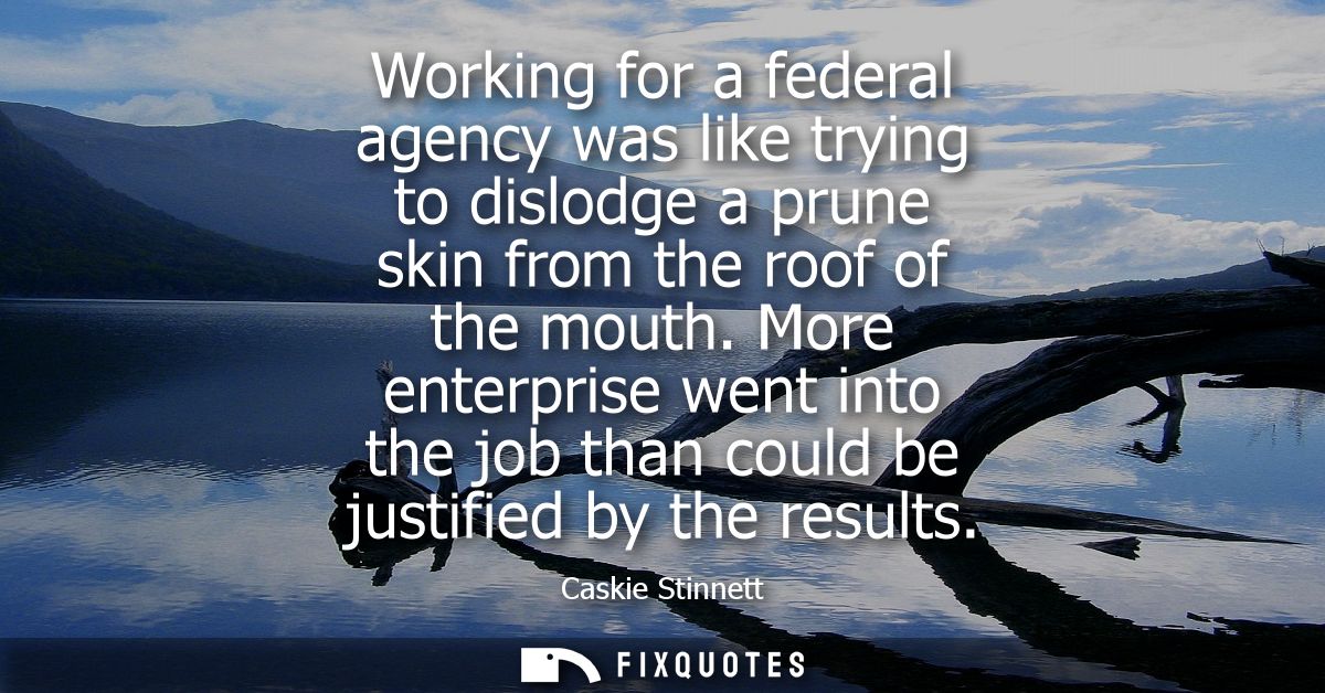 Working for a federal agency was like trying to dislodge a prune skin from the roof of the mouth. More enterprise went i