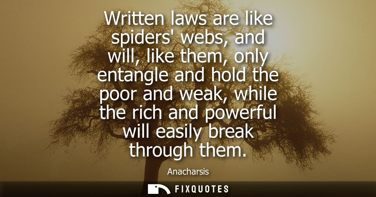 Written laws are like spiders webs, and will, like them, only entangle and hold the poor and weak, while the rich and po