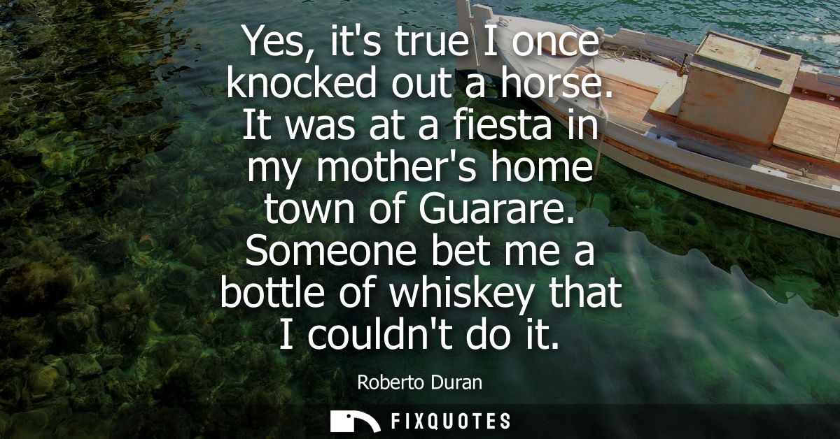 Yes, its true I once knocked out a horse. It was at a fiesta in my mothers home town of Guarare. Someone bet me a bottle