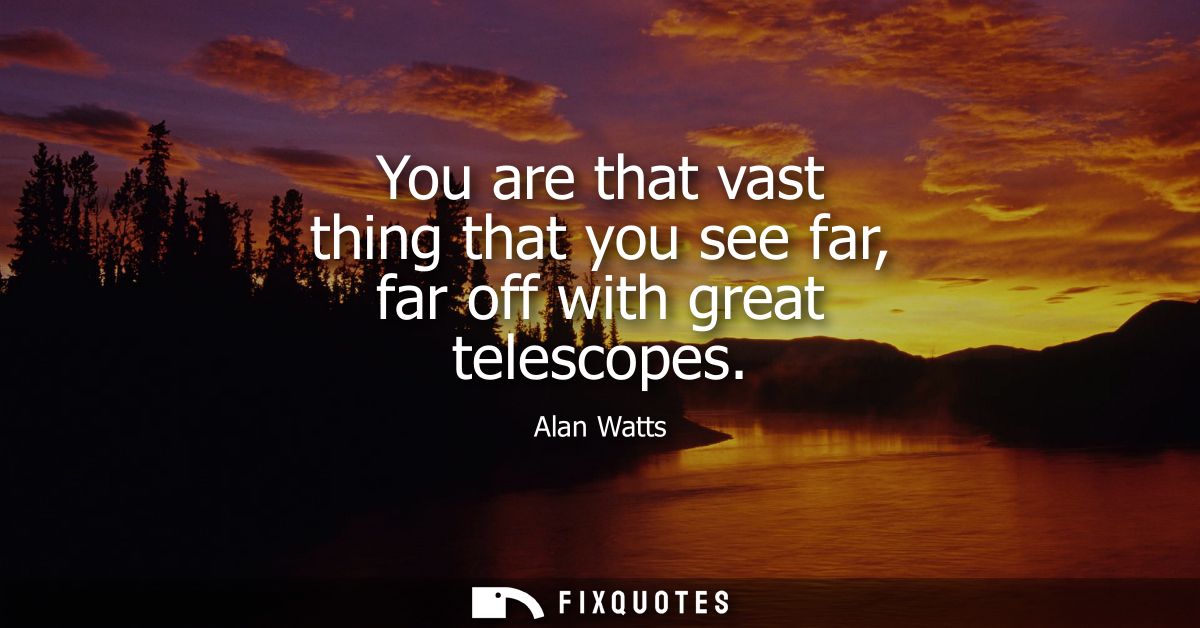 You are that vast thing that you see far, far off with great telescopes