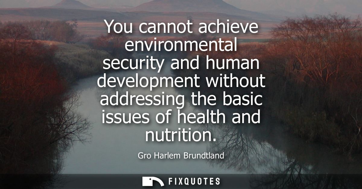 You cannot achieve environmental security and human development without addressing the basic issues of health and nutrit