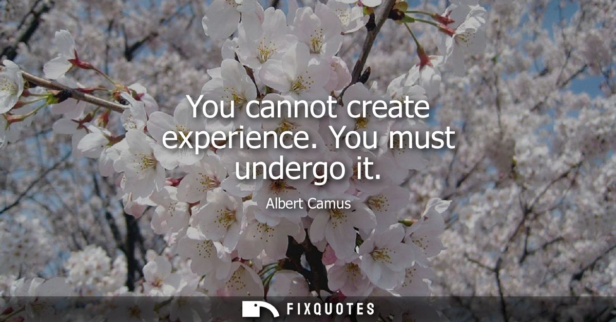 You cannot create experience. You must undergo it - Albert Camus