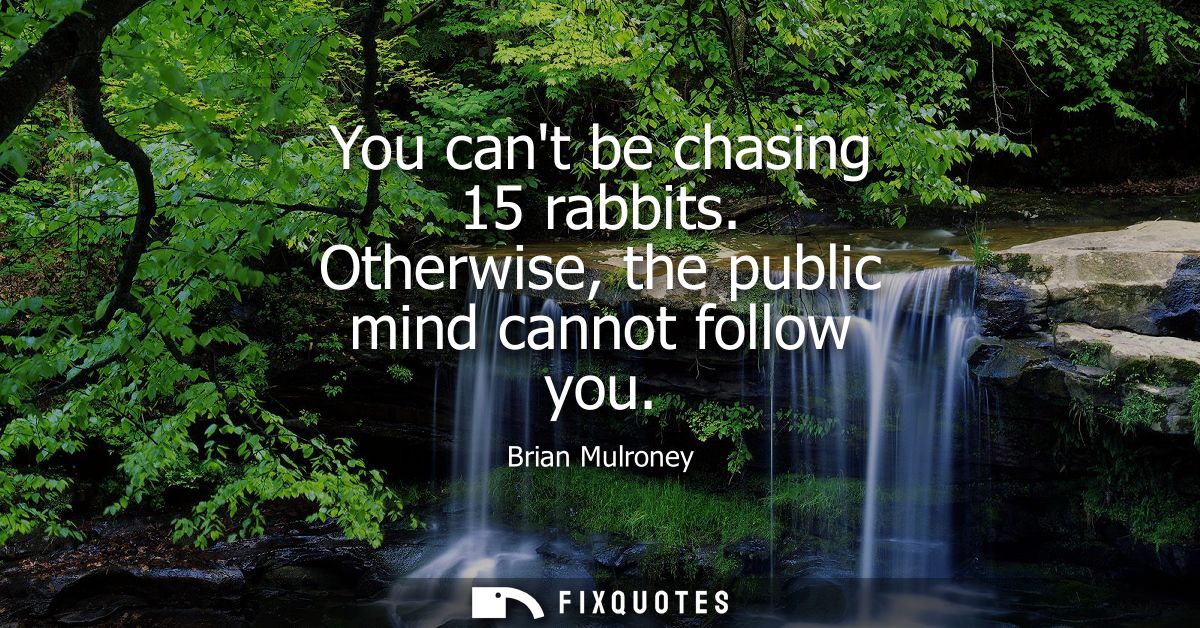 You cant be chasing 15 rabbits. Otherwise, the public mind cannot follow you