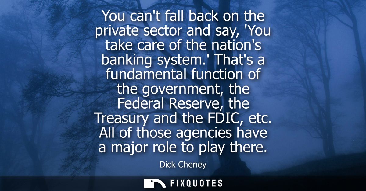 You cant fall back on the private sector and say, You take care of the nations banking system. Thats a fundamental funct