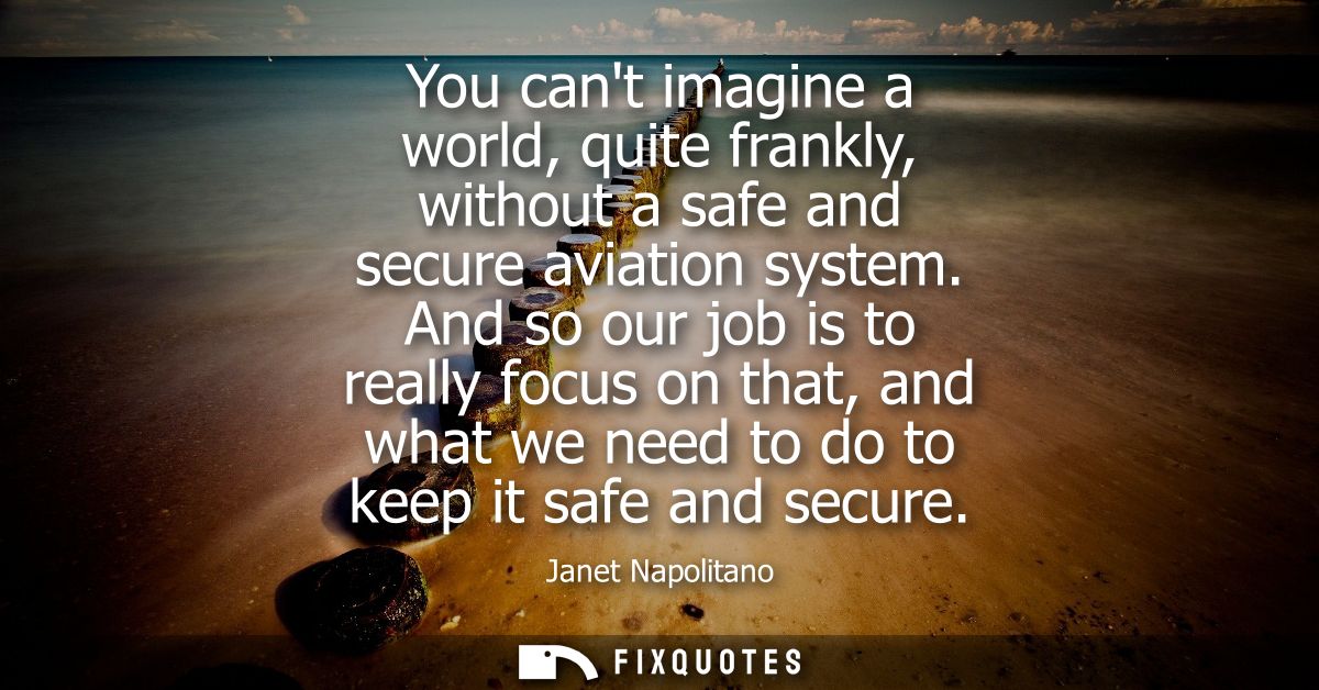 You cant imagine a world, quite frankly, without a safe and secure aviation system. And so our job is to really focus on
