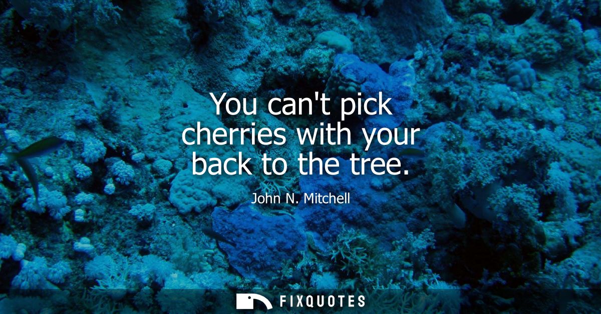 You cant pick cherries with your back to the tree - John N. Mitchell