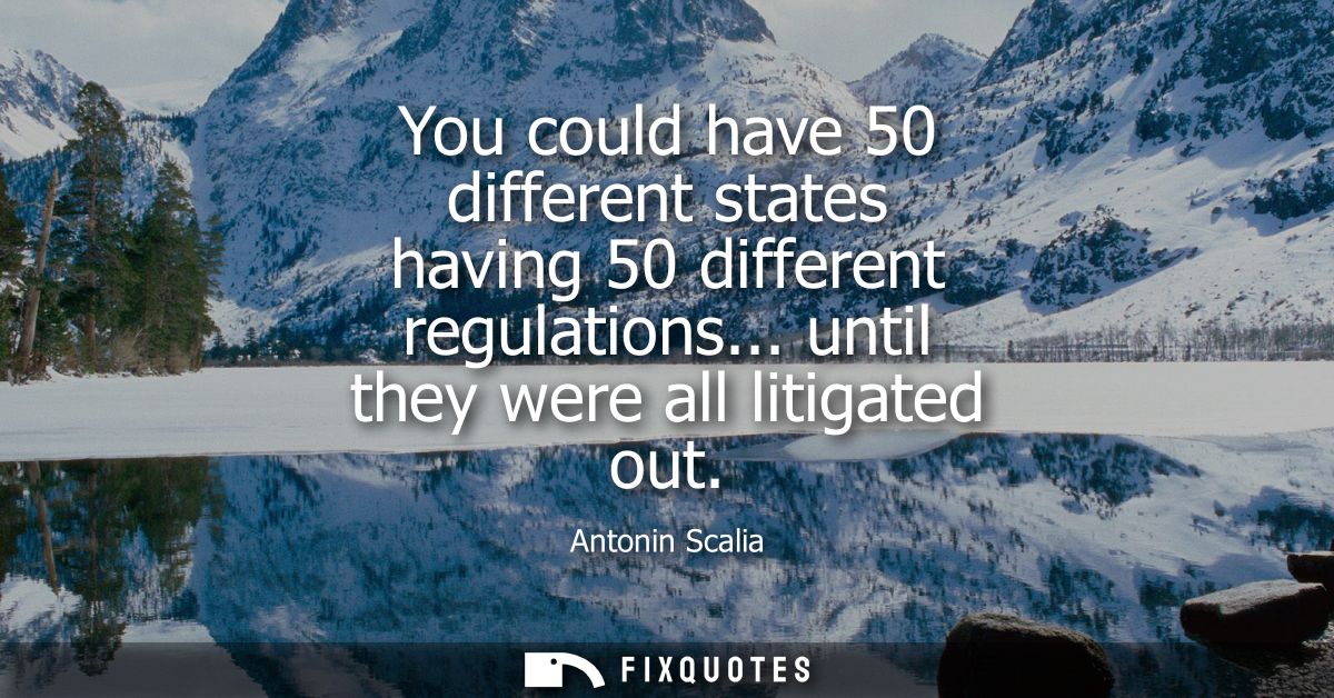 You could have 50 different states having 50 different regulations... until they were all litigated out